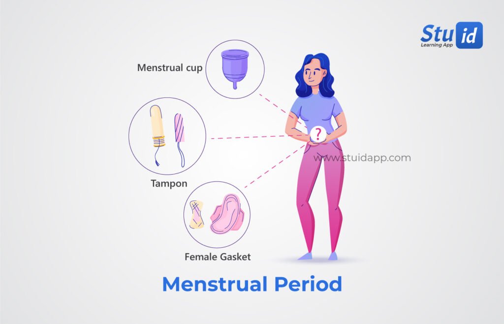 menstrual period