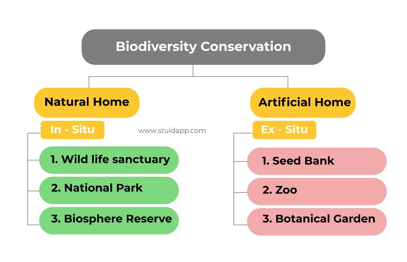 Biodiversity Conservation - Blog | Stuid Learning App