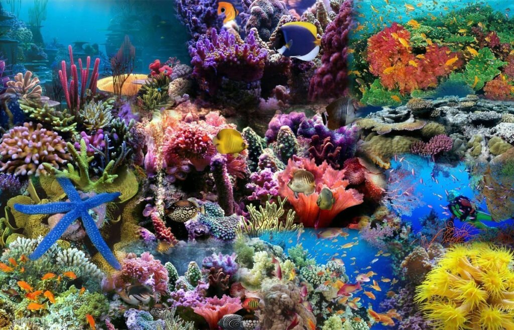 underwater scenes