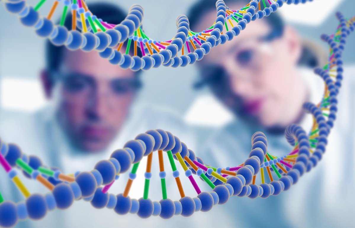 human genome project