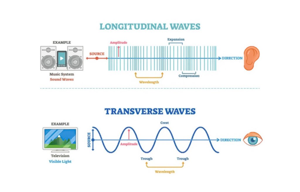 longitudinal_and_transverse_wave