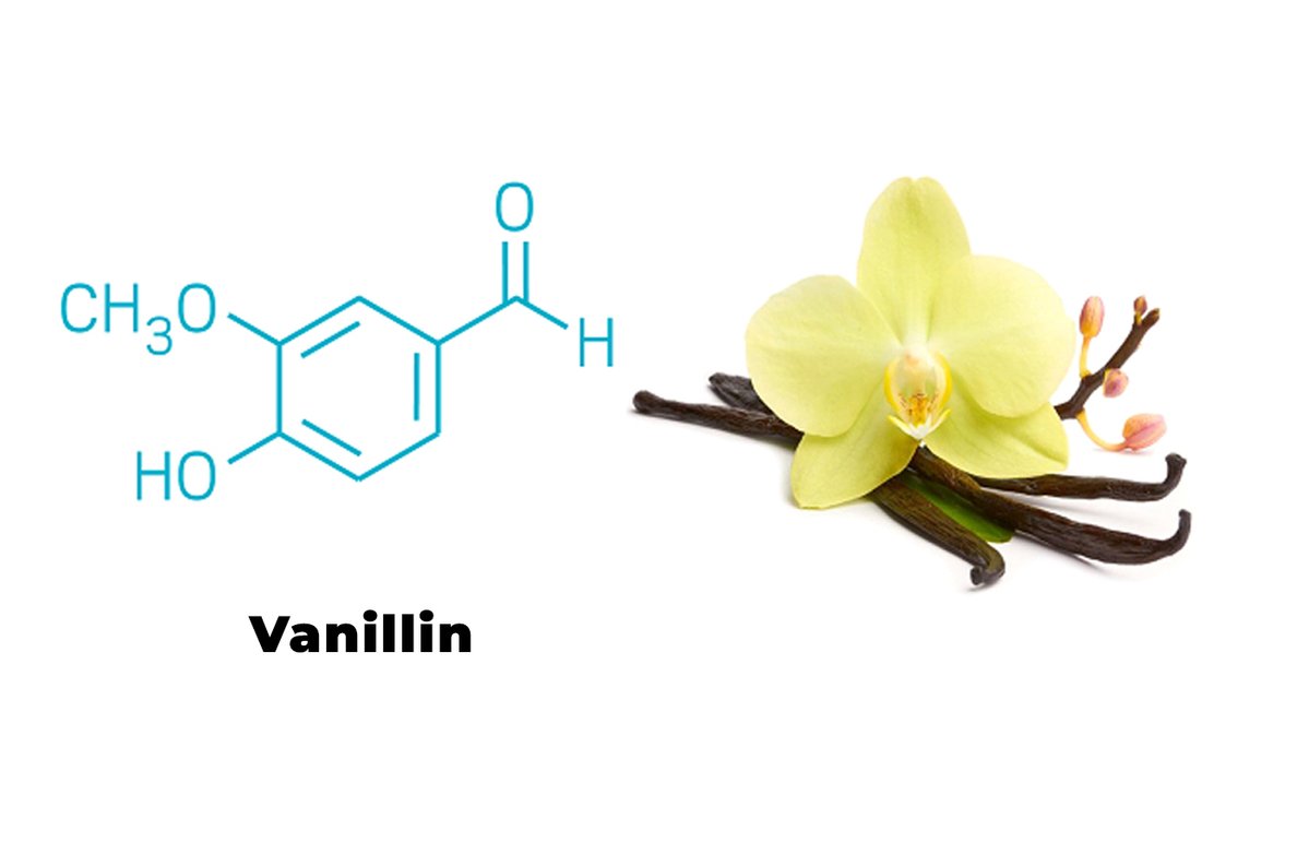 convert plastic to vanilla flavouring