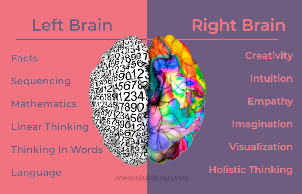 left and right brain