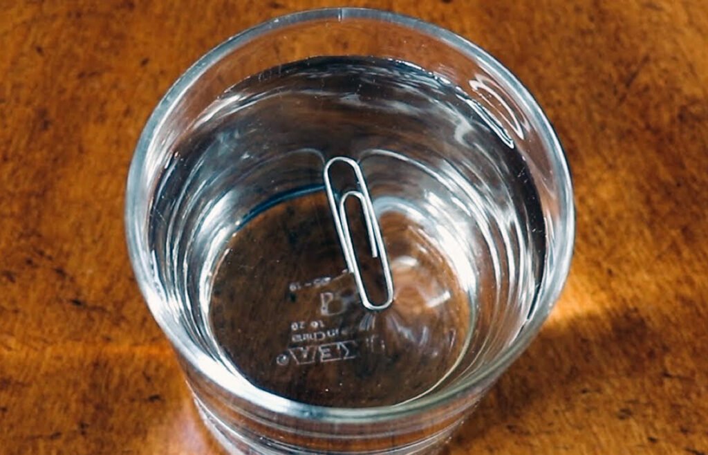 paper clip in water