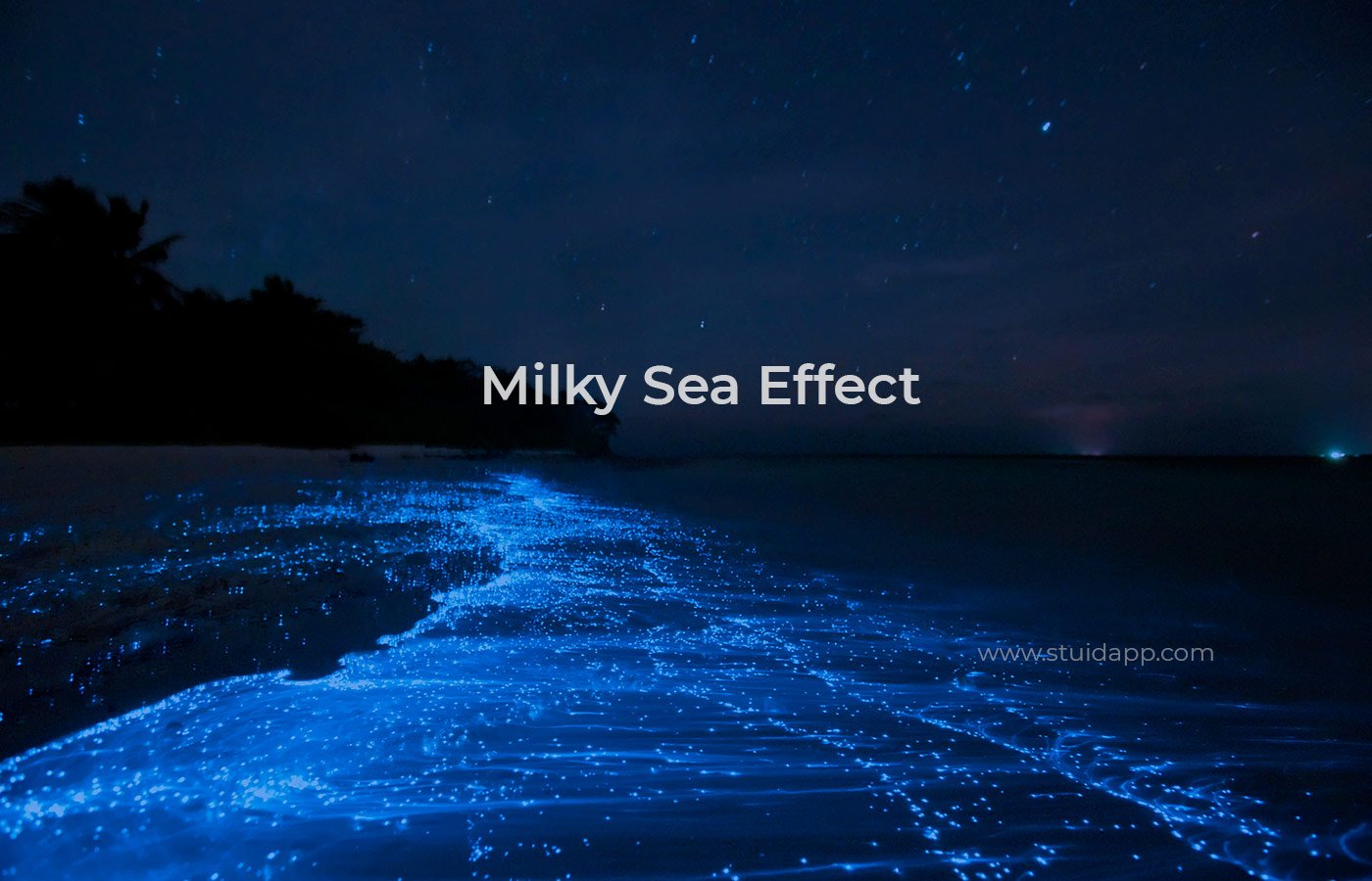 Milky Sea