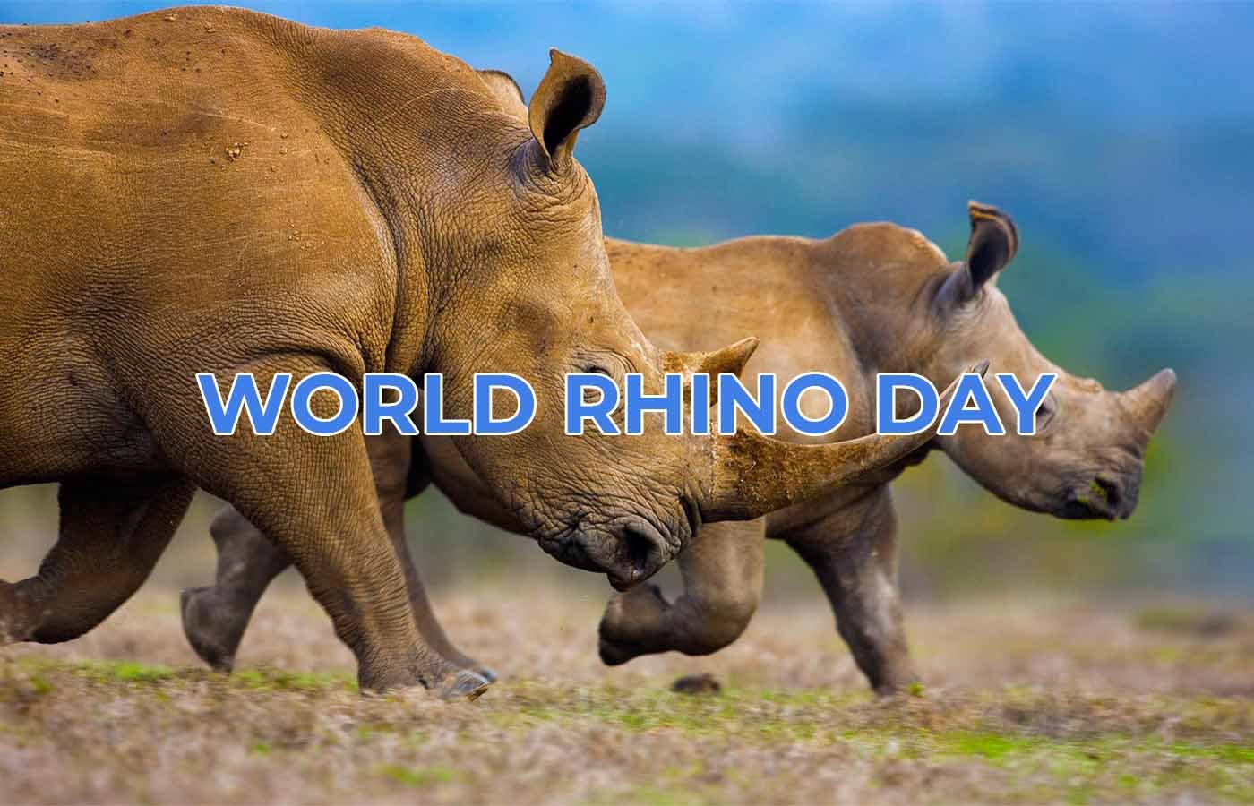 world rhino day