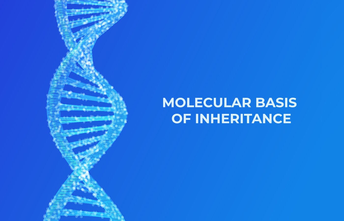 Molecular Basis of Inheritance cover