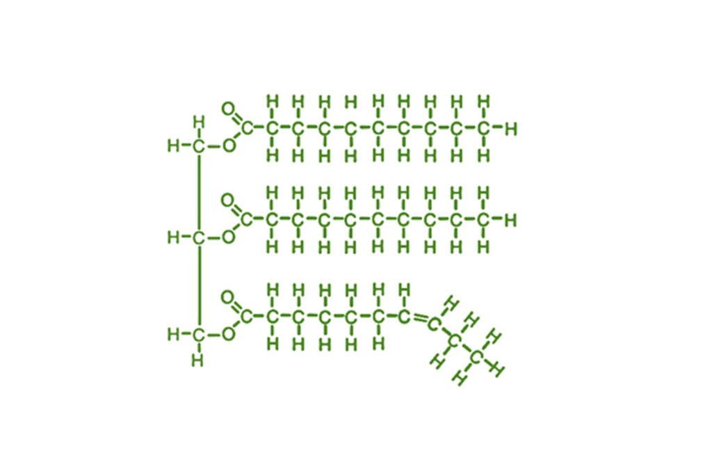 biomolecule 5