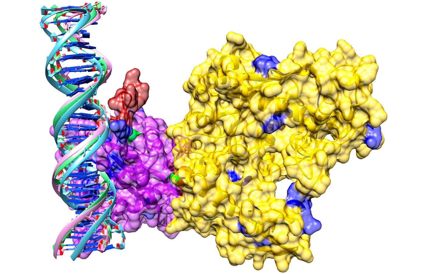 biomolecule cover