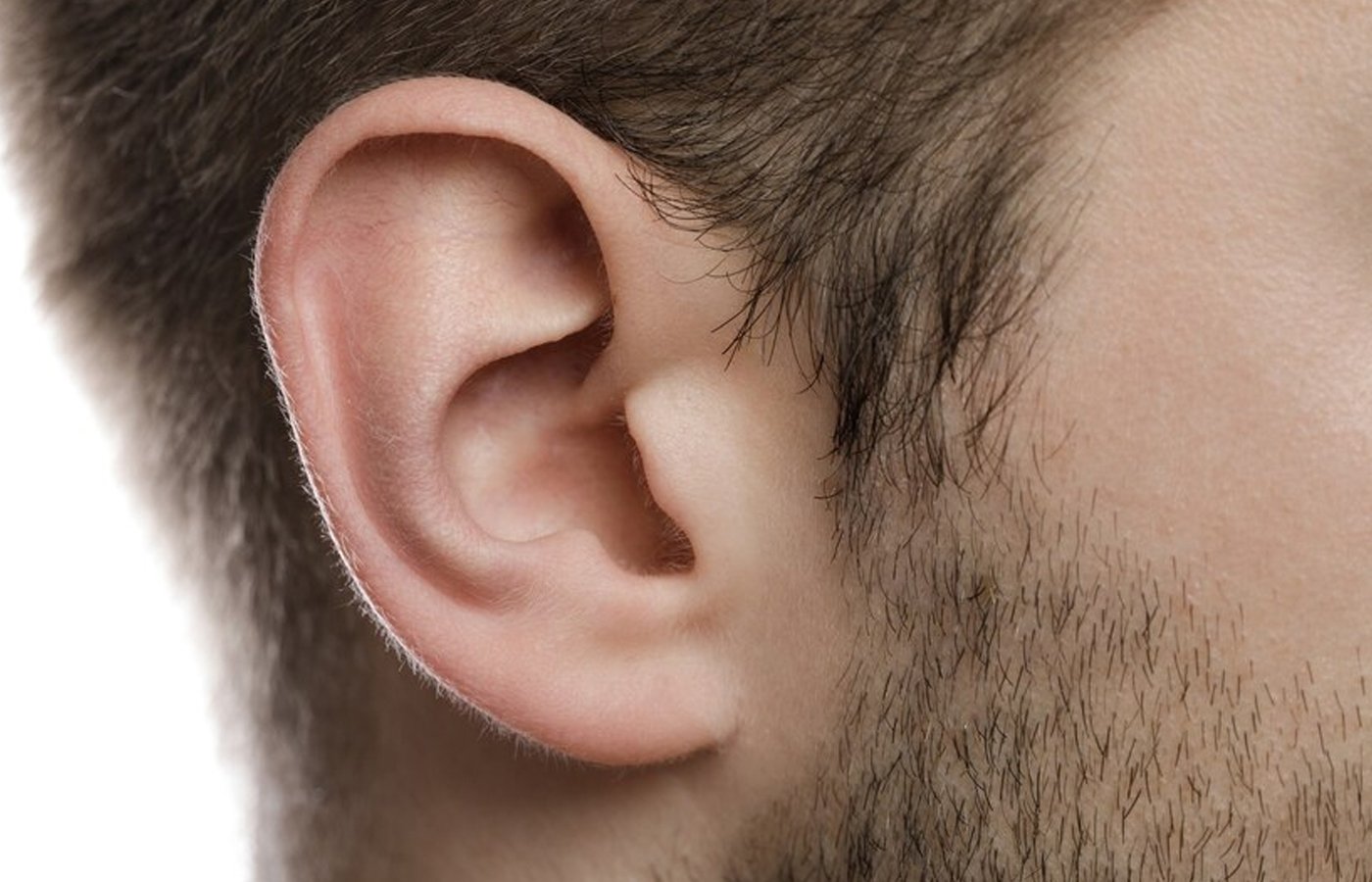 human ear cover