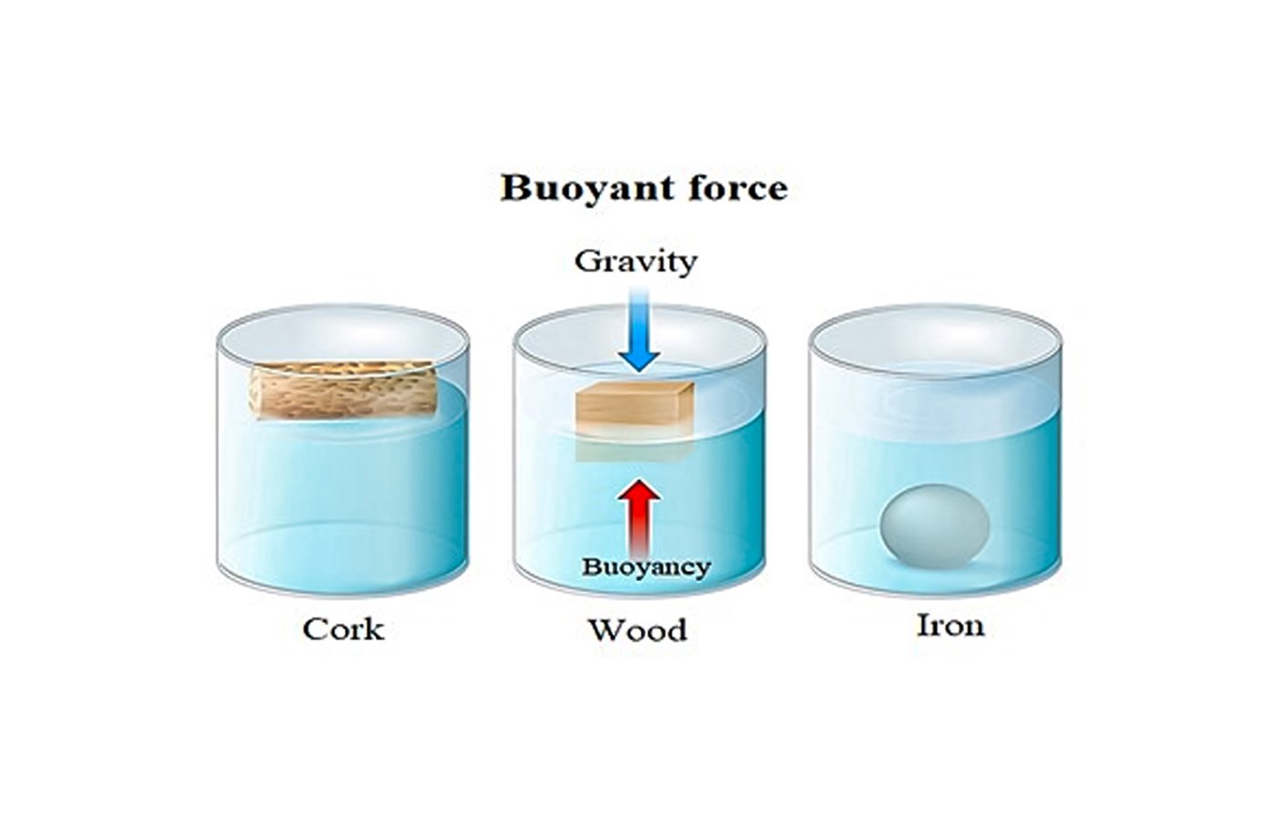 Buoyant Force - Blog | Stuid Learning App