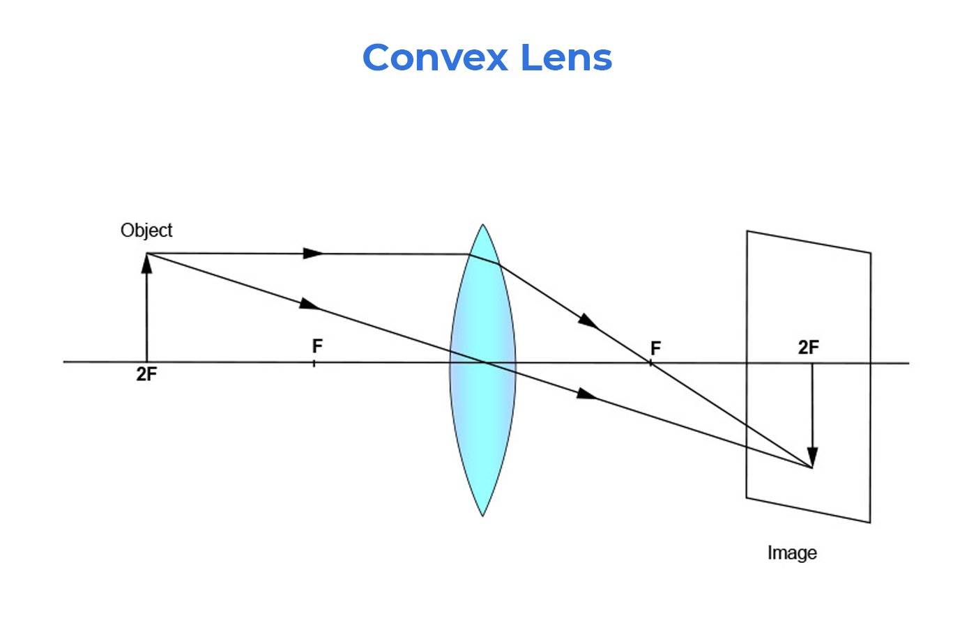 Concave and Convex Lens - Blog | Stuid Learning App