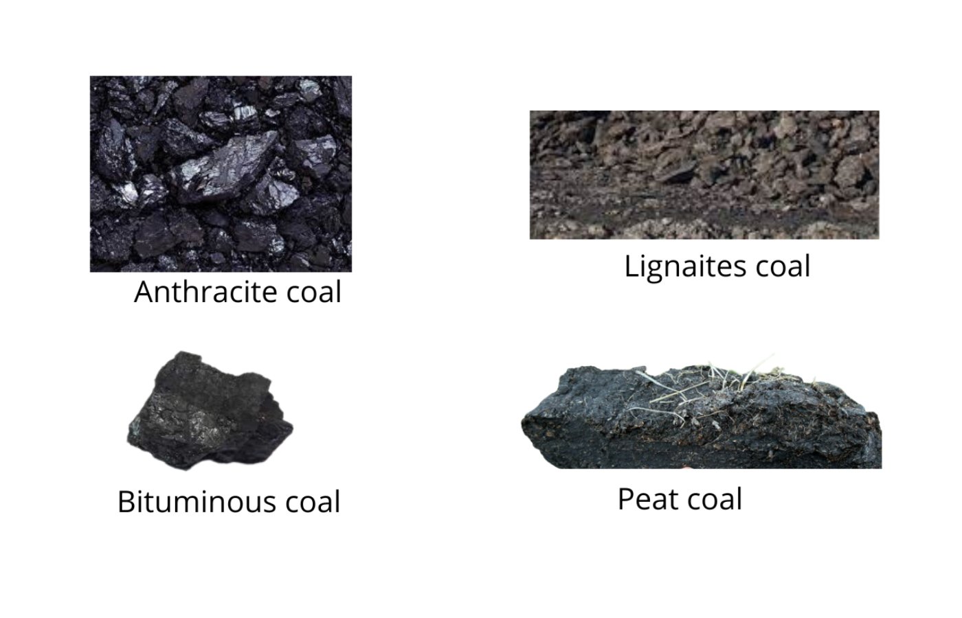 Coal and Petroleum - Blog | Stuid Learning App