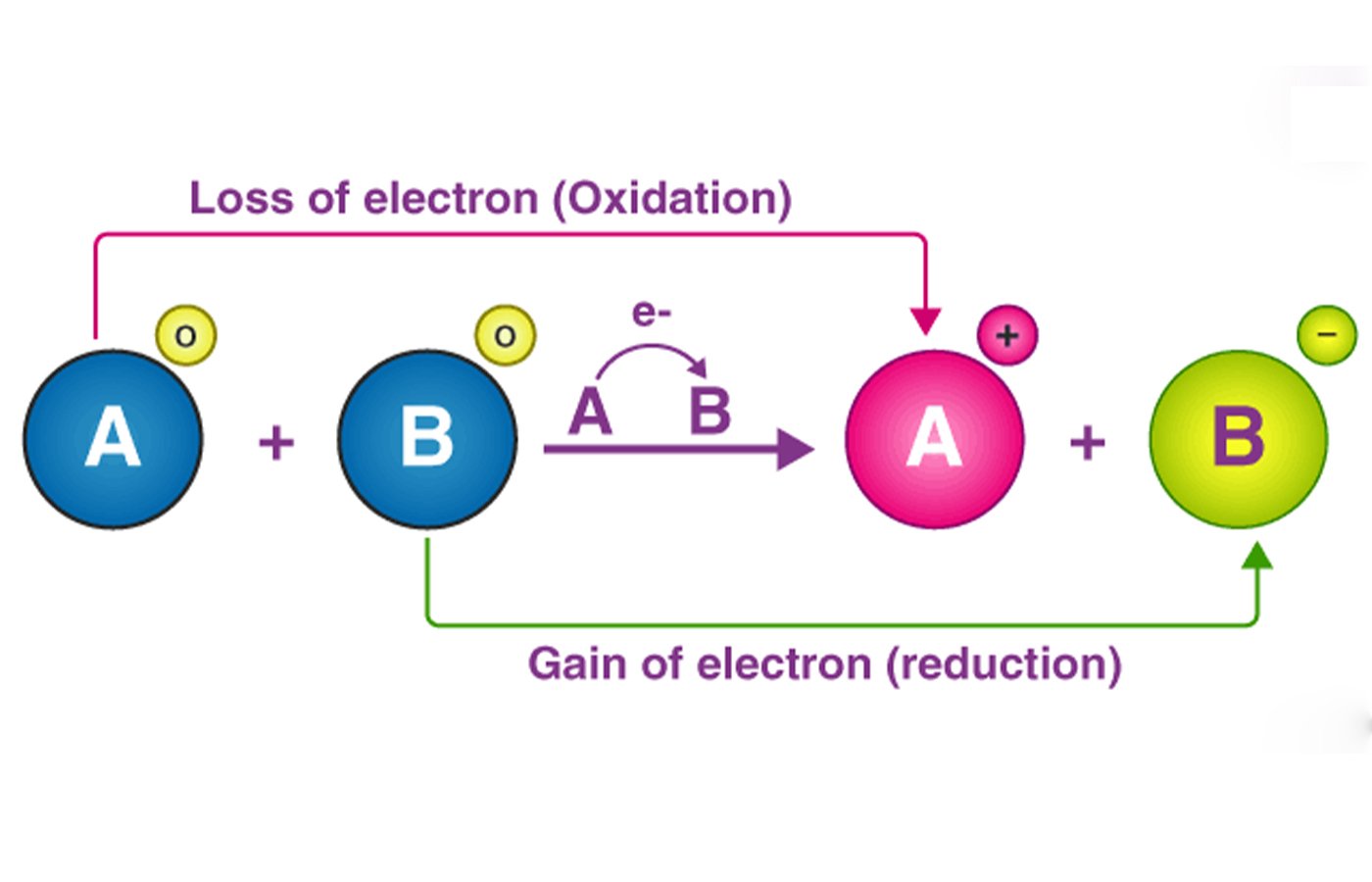 Redox Reactions - Blog | Stuid Learning App